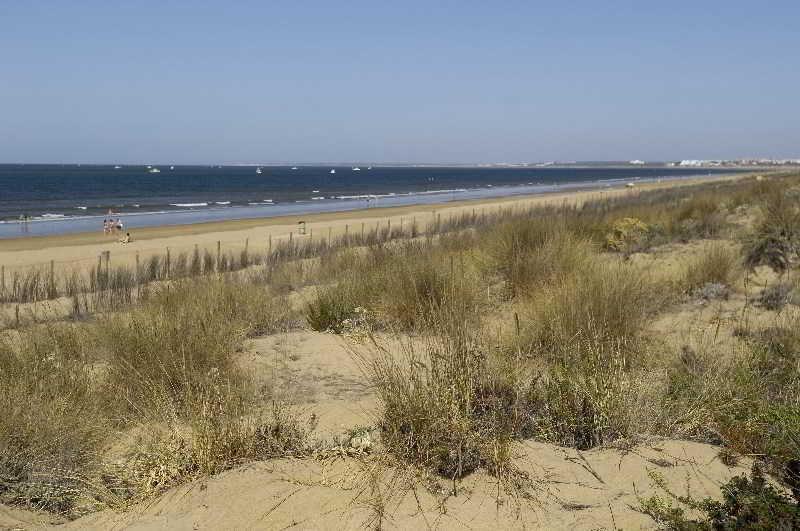Appartamento Leo Punta Umbria (Adults Only) Esterno foto